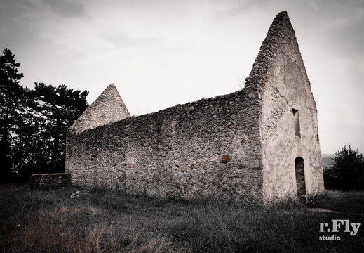 Haluzice